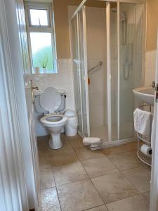 a bathroom with a toilet and a shower and a sink at Quignalegan House in Ballina