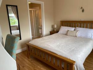 1 dormitorio con 1 cama grande y espejo en Quignalegan House, en Ballina
