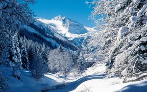 a snow covered mountain with trees and a river at Ferienwohnung Alpenheim in Tux