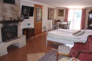 Μια τηλεόραση ή/και κέντρο ψυχαγωγίας στο Apartament Monika Podzamcze 10