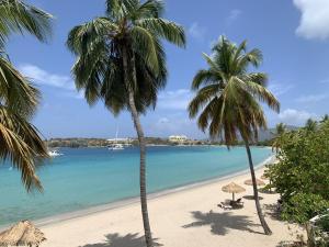 a beach with two palm trees and the ocean at Emerald Beach Resort in Lindbergh Bay