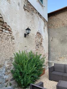 a lamp on the side of a stone wall with a plant at Tuscany House of Artist in Montignoso