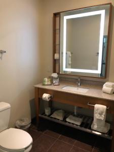 a bathroom with a sink and a mirror and a toilet at Wyndham Garden River Walk Museum Reach in San Antonio