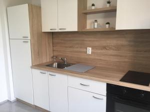 Virtuvė arba virtuvėlė apgyvendinimo įstaigoje Apartman SONAS 2 with free private parking