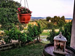 Zahrada ubytování Agriturismo I Casamenti
