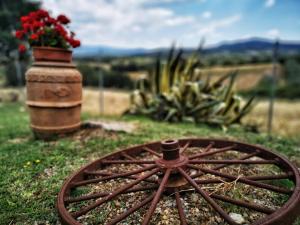 Zahrada ubytování Agriturismo I Casamenti