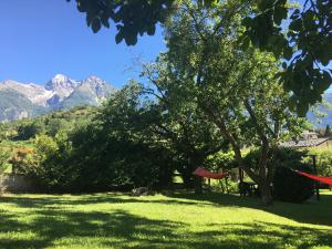 drzewo w polu z górami w tle w obiekcie Aosta Mountain House- Casa La Chapelle w Aoście