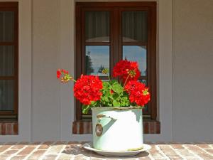 Ảnh trong thư viện ảnh của Margaréta Panzió ở Horvátzsidány