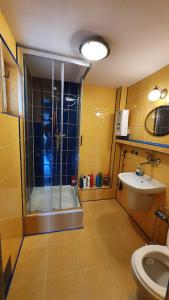 a bathroom with a shower and a toilet and a sink at Góralski domek na szczycie in Zwardoń