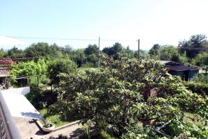 Zahrada ubytování Pure nature coastal apartment VLASTA