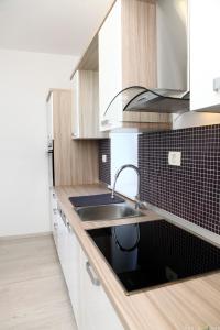 Kuchyň nebo kuchyňský kout v ubytování Pure nature coastal apartment VLASTA