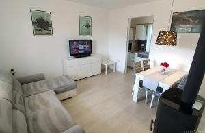 TV a/nebo společenská místnost v ubytování Pure nature coastal apartment VLASTA
