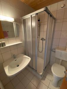 Koupelna v ubytování Pension Franglhof + 25 fotografií
