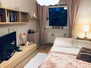- une chambre avec un lit, une télévision et une fenêtre dans l'établissement Apartament W Sercu Ostródy, à Ostróda