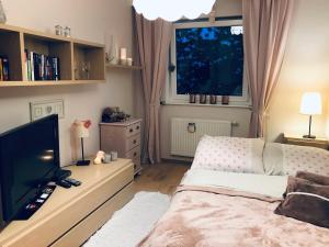 Μια τηλεόραση ή/και κέντρο ψυχαγωγίας στο Apartament W Sercu Ostródy