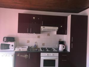 una cocina con armarios negros y electrodomésticos blancos en Appartement l'Espérou, en L'Espérou