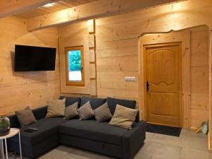 a living room with a couch in front of a wooden wall at Regle House in Zakopane