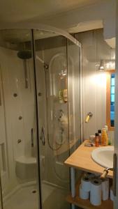 a bathroom with a shower and a sink at les floralis studio in La Grée-Saint-Laurent