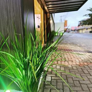 a plant on a brick sidewalk next to a building at Pousada Caminho Dos Sonhos in Penha