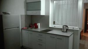 Kuchyň nebo kuchyňský kout v ubytování apartmani Zoran Bilić