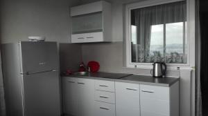 Kuchyň nebo kuchyňský kout v ubytování apartmani Zoran Bilić