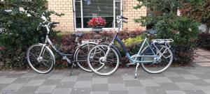 dos bicicletas estacionadas una al lado de la otra frente a una casa en B&B Le Bon Vivant Eindhoven, en Eindhoven