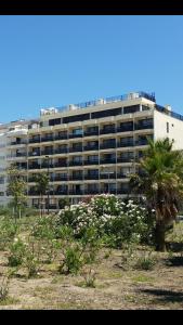 un grand bâtiment avec un palmier en face dans l'établissement Sunset Beach, à Costa da Caparica