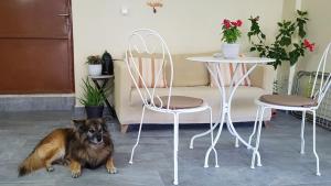 Fyllou Apartment Asprovalta kisállat-vendégei