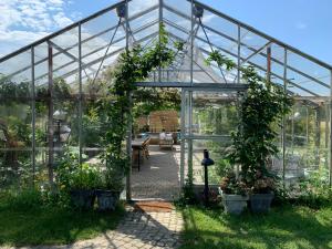 a greenhouse with plants growing inside of it at Mariegaardens Gæstehuse in Hillerød