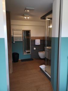 Jenins的住宿－加斯多夫祖爾布德旅館，一间带卫生间、水槽和镜子的浴室