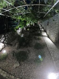 Zahrada ubytování Apartments Gorana