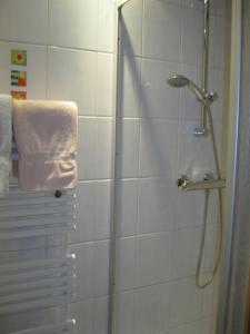 La salle de bains est pourvue d'une douche et d'une serviette. dans l'établissement Gästehaus Sahler, à Gaschurn