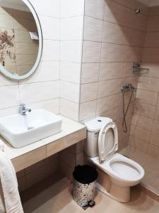 a bathroom with a sink and a toilet and a mirror at Kohyli Apartments in Skala Rachoniou +19 photos