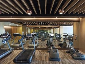 Fitness centrum a/nebo fitness zařízení v ubytování E-DA Skylark Hotel
