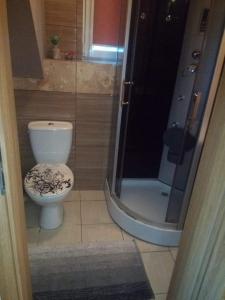 uma casa de banho com um WC e um chuveiro em Apartament Charzykowy em Charzykowy