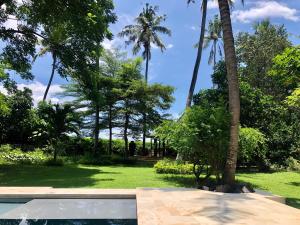 a garden with palm trees and a swimming pool at HIDDEN HEAVEN Rumah Barong in Jasri