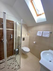 a bathroom with a shower and a toilet and a sink at Rábensteiner Panzió in Fertőd