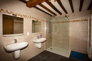 Koupelna v ubytování B&B HOTEL IN FERME DE LEUZE nabij Durbuy, eigen laadpalen