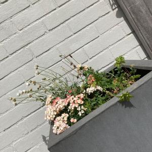 Fotografie z fotogalerie ubytování Holiday home De Levensgenieter v destinaci Torhout