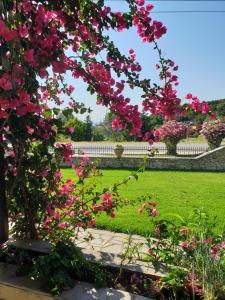 vistas a un jardín con flores rosas en Hotel Ermioni, en Kalamitsi