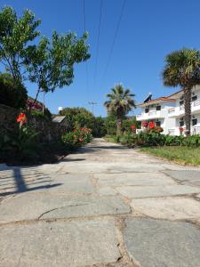 an empty street with palm trees and a building at Hotel Ermioni in Kalamitsi