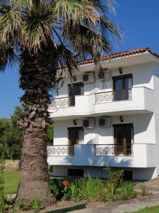 a white building with a palm tree in front of it at Hotel Ermioni in Kalamitsi