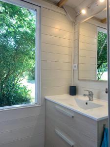 a bathroom with a sink and a window at Domaine de Faye in Sauvigny-les-Bois