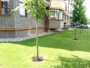 Vonkajšia záhrada v ubytovaní Apartment Studio LONDON 92