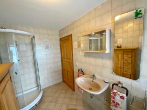 Ένα μπάνιο στο Ferienwohnung Scheffler +20 φωτογραφίες