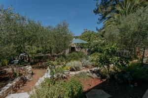 a garden with trees and plants in front of a house at Apartmani Melem in Stari Grad
