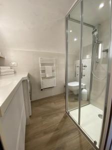 La salle de bains est pourvue d'une douche en verre et de toilettes. dans l'établissement Longue 1 Menton, à Menton