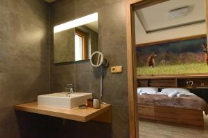 een badkamer met een wastafel en een spiegel bij PENZION U MEDVĚDA in Frýdek-Místek
