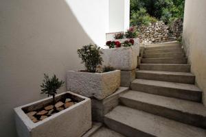 Fotografie z fotogalerie ubytování Apartmani Rustica v destinaci Drasnice