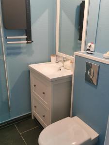 een badkamer met een wastafel, een toilet en een spiegel bij Envolée Marine pour 3 pers - Berck-Plage - 250m plage et commerces in Berck-sur-Mer